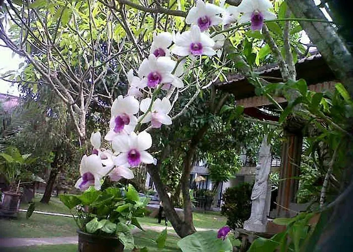 Hotel Puri Maharani Boutique 3*